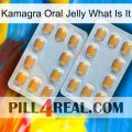 Kamagra Oral Jelly What Is It cialis4